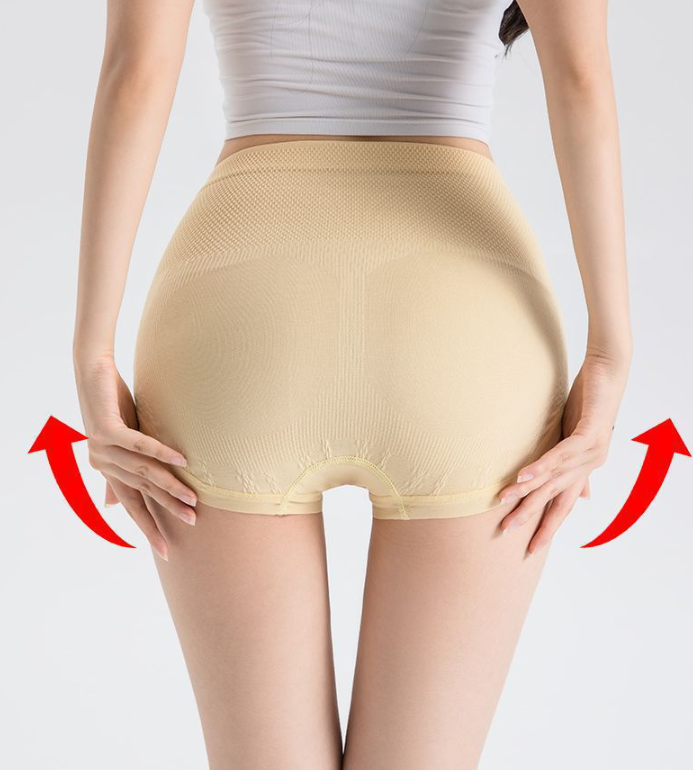 RIONA | HIGH WAIST CONTROL BRIEFS