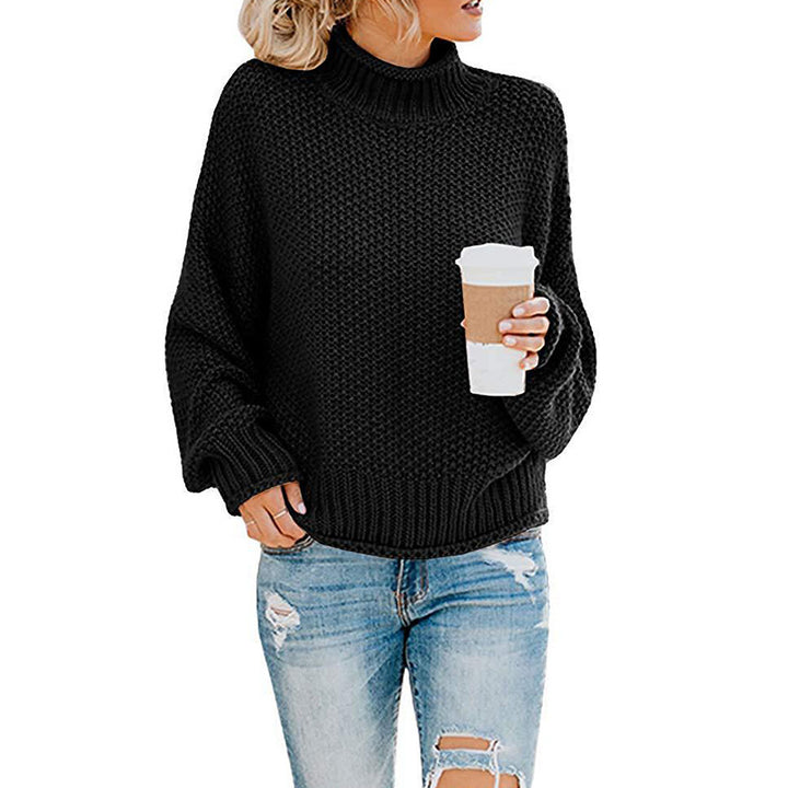 HAILEY | LOOSE TURTLENECK SWEATER